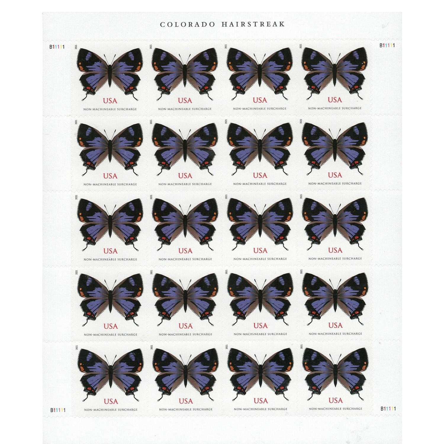 Colorado Hairstreak 2021