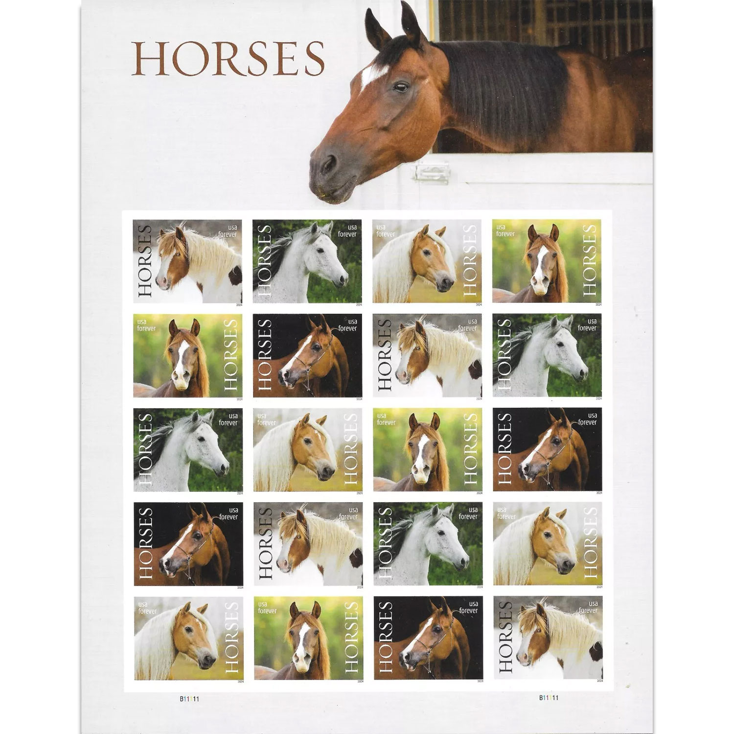 Horses